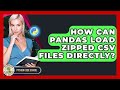 How Can Pandas Load Zipped CSV Files Directly? - Python Code School