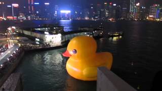 Rubber Duck Project (橡皮鴨游世界香港站) (2)