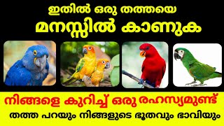 ഇതിലൊരു തത്തയെ മനസ്സിൽ വിചാരിക്കു ! നിങ്ങളെ കുറിച്ച് ഒരു രഹസ്യമുണ്ട് / തത്ത പറയും ഭാവിയും ഭൂതവും