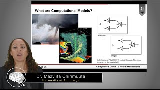 Computational Models in Neuroscience | Dr. Mazviita Chirimuuta (Part 3 of 4)