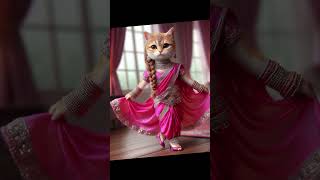 Cute cats🐱ঢাকাই শাড়ি পড়ে তোকে লাগছে বিউটিফুল😂👌 #whatsapp_status_video🙈🙈