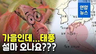 14호 태풍 '찬홈' 한반도로 올까…예상 경로는 / 연합뉴스 (Yonhapnews)