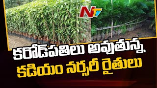 Kadiyam Nursery Farmers Gets Profit With Haritha Haram Orders | NTV