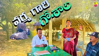 టెర్రస్ గార్డెన్కు , ఉపయోగపడే   ఆర్గానిక్ ఎరువులు ఈ గోశాలలో లభించును | ALL TERRACE GARDEN PRODUCTS |