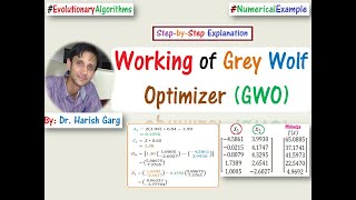 Step-by-Step Working of Grey Wolf Optimizer (GWO) with Numerical Example