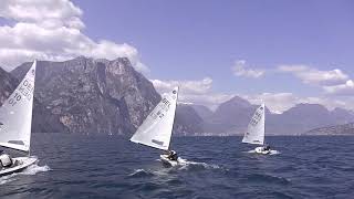 Kilian (BEL-82) sailing Europe dinghy downwind