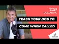 How to Teach a Dog to Come When Called Ft. Marc Goldberg (Episode 49)