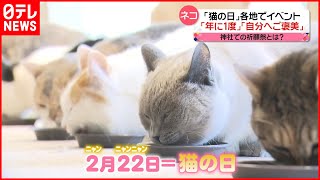 【猫の日】各地でイベント  “猫神社”で愛猫の長寿を願う祈願祭も