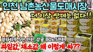 인천 남촌농산물도매시장 헐~ 과일값, 채소값 왜 이렇게 싸?? 감귤 5Kg BOX  5,000원??  샤인머스켓 6,000원 1BOX | 청량리 경동시장 보다 더 싸다! | 4K