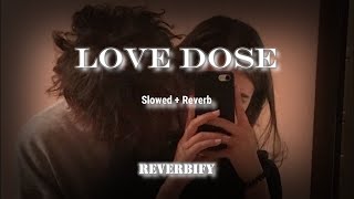 LOVE DOSE ( Perfectly Slowed ) Yo Yo Honey Singh |  Desi Kalakaar | @REVERBIFY ​