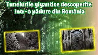 Tunelurile gigantice descoperite într-o pădure din România. Au peste 6000 de ani vechime