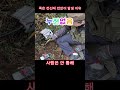 유도전압 감전여부 확인 시설관리 전기실무