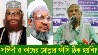 কাদের মোল্লা ও সাঈদীর বিচার স‌ঠিক হয়‌নি: ডা. জাফরুল্লাহ চৌধুরী।