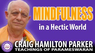 Mindfulness in a Hectic World: How can we cultivate inner peace amid the chaos of everyday life?