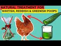 ORGANIC TREATMENT FOR ABNORMAL Chicken Poop COLOUR. Whitish Poop | Reddish Poop | Greenish Poop.