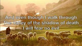 Psalm 23 (Surely Goodness, Surely Mercy) by Shane \u0026 Shane