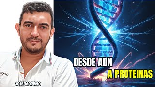 Replicación, Transcripción y Traducción del ADN | Explicación Fácil y Rápida