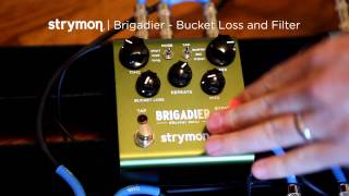 Strymon Brigadier - Bucket Loss \u0026 Filter controls