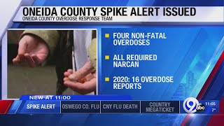 Oneida County Spike Alert