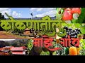 कोकणातील माझ गाव/चिपळूण (मुंढे लांबेवाडी)/A for Ankush /konkan vlog/ कोकण संस्कृती