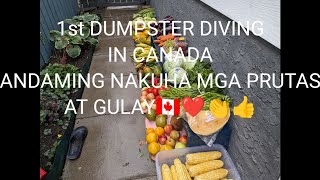 DUMPSTER DIVING (VLOG #1)Part 1