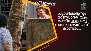 പ്യാരിജാതനും മണ്ഡോദരിയും തമ്മിലുള്ള ഒരു നാടൻ വഴക്ക് ഒന്ന് കാണാം... | Marimayam