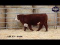 lot 17 big gully 6147 frontier 817k