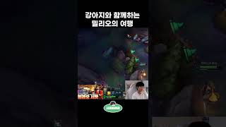 협곡 미니게임 술래잡기. #롤 #lol #서폿 #leagueoflegend #추천