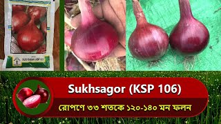 Sukh sagor KSP 106 onion kalash seeds l ইন্ডিয়ান সুখ সাগর পেঁয়াজের দানা কোথায় পাবেন । onion seeds