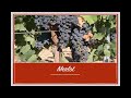 winecast merlot