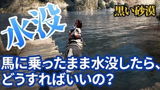 【黒い砂漠】馬に乗って水没したら、どうすればいいの？｜ 初心者向け情報