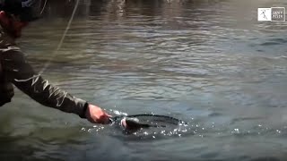 De pesca: Truchas en la selva de La Alcarria