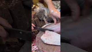 Amazing Big Pomfret Fish Cutting In Fish Market 2023