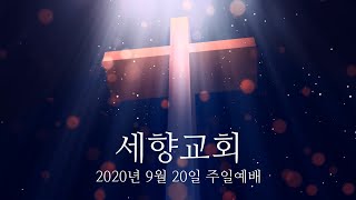 [세향교회] 2020년 9월 20일 주일 예배