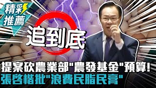 提案砍農業部「農發基金」預算！張啓楷「浪費民脂民膏」：錢要怎麼追回來【CNEWS】