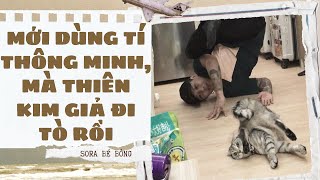 [Truyện Audio ] [FULL] MỚI DÙNG TÍ THÔNG MINH, MÀ THIÊN KIM GIẢ ĐI TÒ RỒI || Sora Bé Bỏng