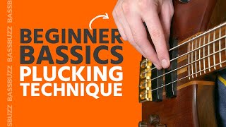 Basic Bass Plucking Technique (Beginner Bass Basics)