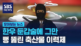 한우 둔갑의 술!…순식간에 '투플'이 된 1등급 / SBS / 모아보는 뉴스