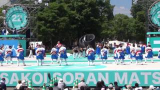 ＹＯＳＡＫＯＩソーラン２０１３～踊るＢＡＫＡ！ＴＯＫＹＯ