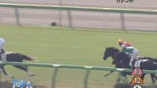 2008年11月23日 東京4R 障害未勝利 マイネルジュネス