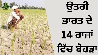 ਉਤਰੀ ਭਾਰਤ ਦੇ 14 ਰਾਜਾਂ ਵਿੱਚ ਬੇਹੜਾ | RANGLA PUNJAB RADIO \u0026 TV