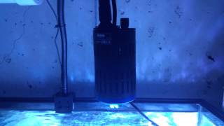 Kessil A160WE LED Tuna - Frag Tank (First Look)