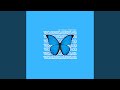 Volar