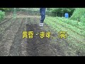 【家庭菜園】　素人が畑を借りて野菜作り　043　誰だ！不法侵入　おっちゃん日記