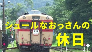 シュールなおっさんの休日　いすみ鉄道の急行復活　うなぎを食ってB737フライトシミュレーターに挑戦！　Isumi Railway \u0026 B737Flight simulator