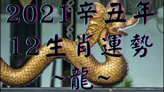 【古柏論命-張古柏】2021年辛丑年12生肖運勢 – 龍