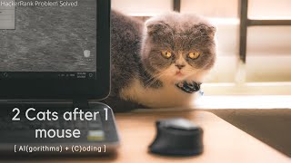 Cats and Mouse | Hackerrank Problem | Algorithm | Solved