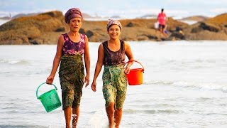 Myanmar, Dawei, Maungmagan beach,Beach of life..หาดทรายที่ทวาย มีหลายชีวิต