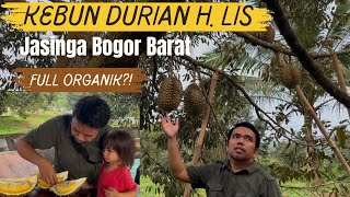 🔥🔥Durian BAWOR FULL ORGANIK?! Kebun Durian H. Lis Bogor Barat