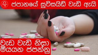 ආතතිය නිසා සියදිවි නසාගන්නා ජපන් ජාතිකයින් -  Why Japanese get suicide ?